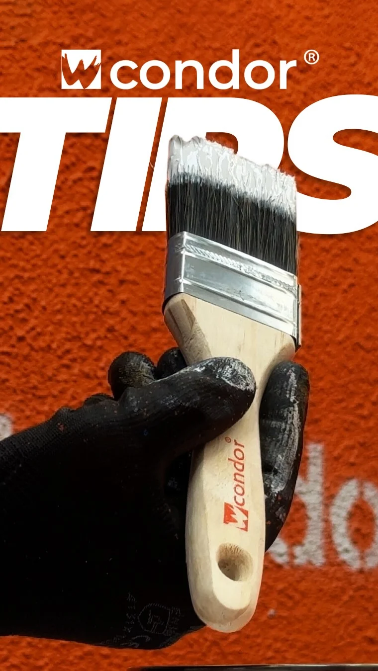 Instagram post from condor_wesser. This post is in position 1.