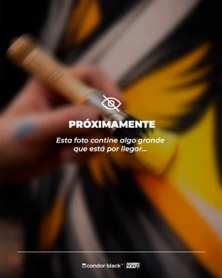 Instagram post from condor_wesser. This post is in position 11.