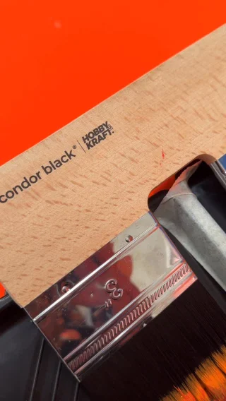 Instagram post from condor_wesser. This post is in position 5.